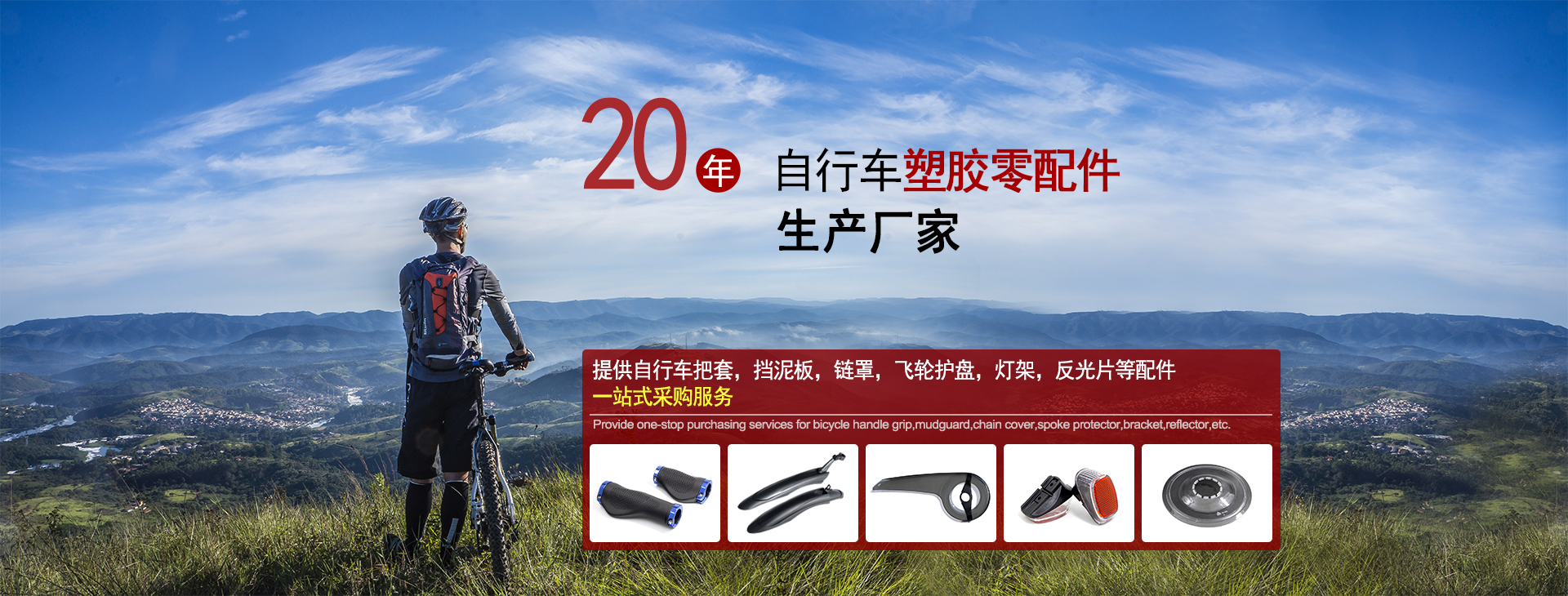 信恒輝19年自行車(chē)塑膠零配件生產(chǎn)廠(chǎng)家